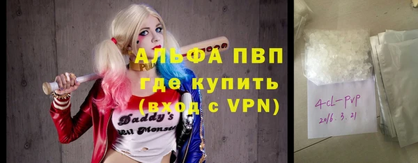 ПСИЛОЦИБИНОВЫЕ ГРИБЫ Коряжма