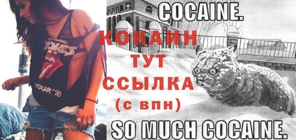 ПСИЛОЦИБИНОВЫЕ ГРИБЫ Коряжма
