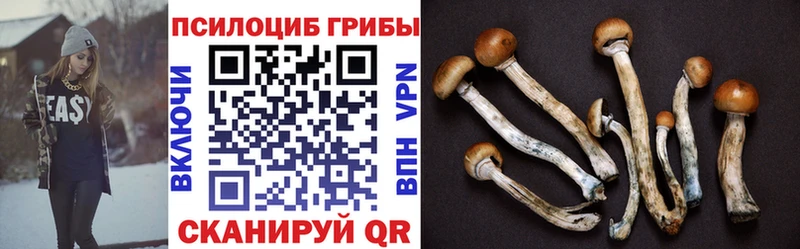Галлюциногенные грибы мухоморы  Купить  Голицыно 